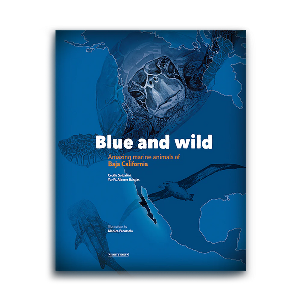 Blue and wild, Albores Barajas, Soldatini, travel book, Sunset & Venice