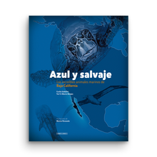 Load image into Gallery viewer, Azul y salvaje, Albores Barajas, Soldatini, travel book, Sunset & Venice