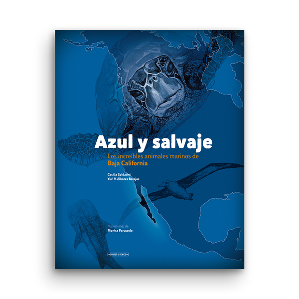Azul y salvaje, Albores Barajas, Soldatini, travel book, Sunset & Venice