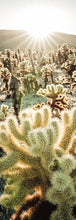 Load image into Gallery viewer, California bookmark, Sunset & Venice