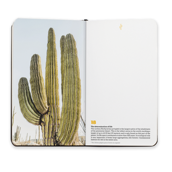baja california, notebook, journal, Sunset & Venice