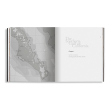 Load image into Gallery viewer, Sea of Dreams, Christopher Swann, Baja California Gallery, simebooks