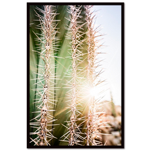 Load image into Gallery viewer, Thorns in the Catavina desert