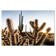 Load image into Gallery viewer, Catavina desert in center of Baja California