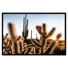 Load image into Gallery viewer, Catavina desert in center of Baja California