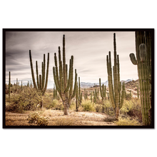 Load image into Gallery viewer, Cardon cactus plants in a forest, Loreto #1