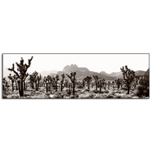 Load image into Gallery viewer, Joshua Tree National Park #1