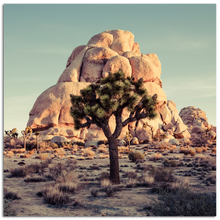 Load image into Gallery viewer, Joshua Tree National Park #2
