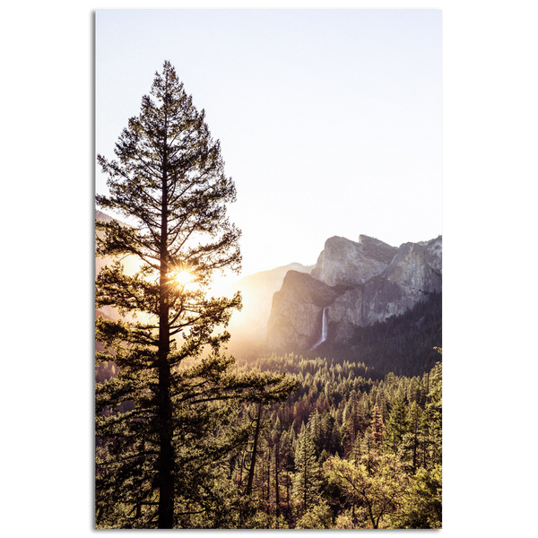 Yosemite National Park #3